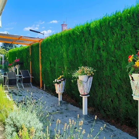 Cozy With Garden In Gasthuis Bratislava