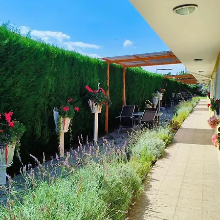 Penzion Cozy With Garden In Bratislava